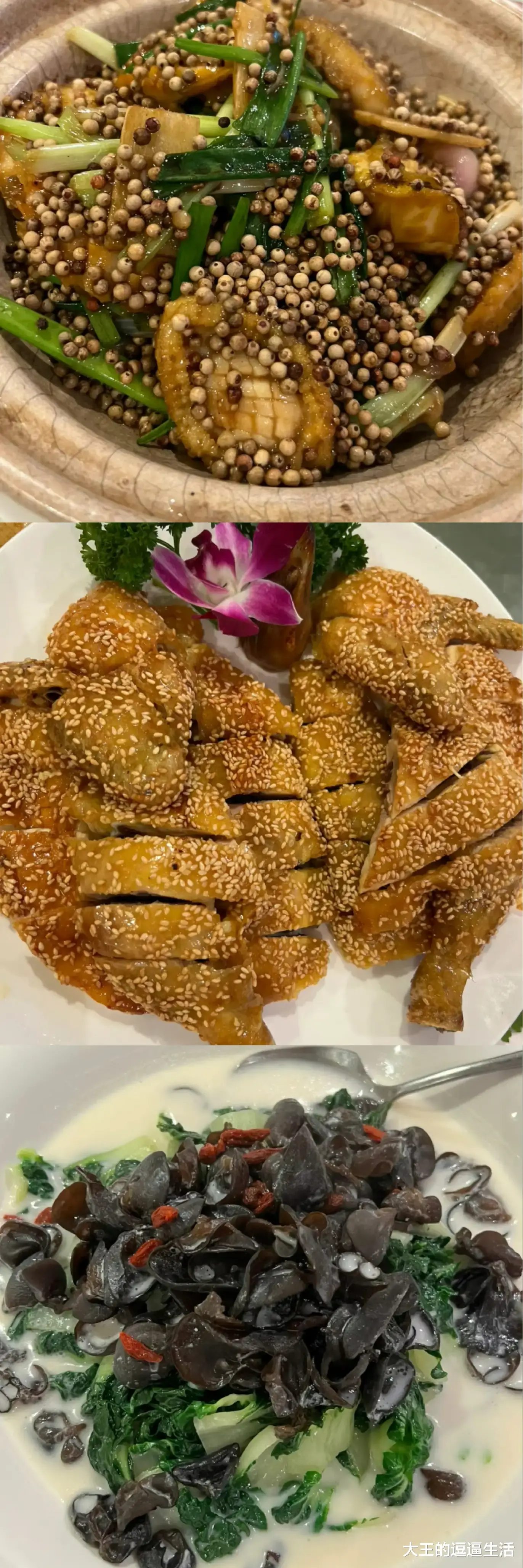 李茂扮太子|陈法蓉深夜晒九宫格美食，隔着屏幕都能闻到香味！果然是岁月从不败美人