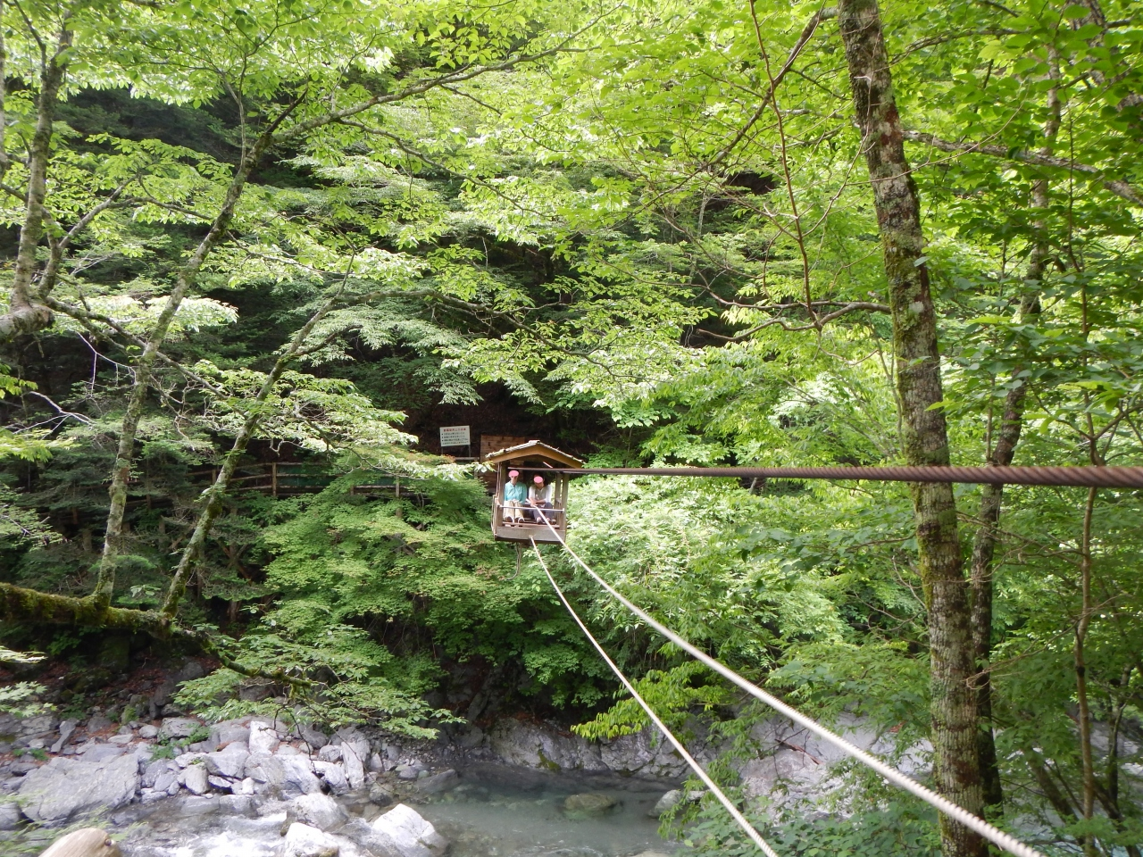 旅顺口区|位于日本德岛县的神秘峡谷，带你看看风景如画的祖谷溪