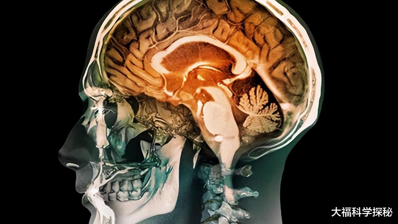 地球人类是外星入侵物种?人类身体多项反常特征,让人细思极恐
