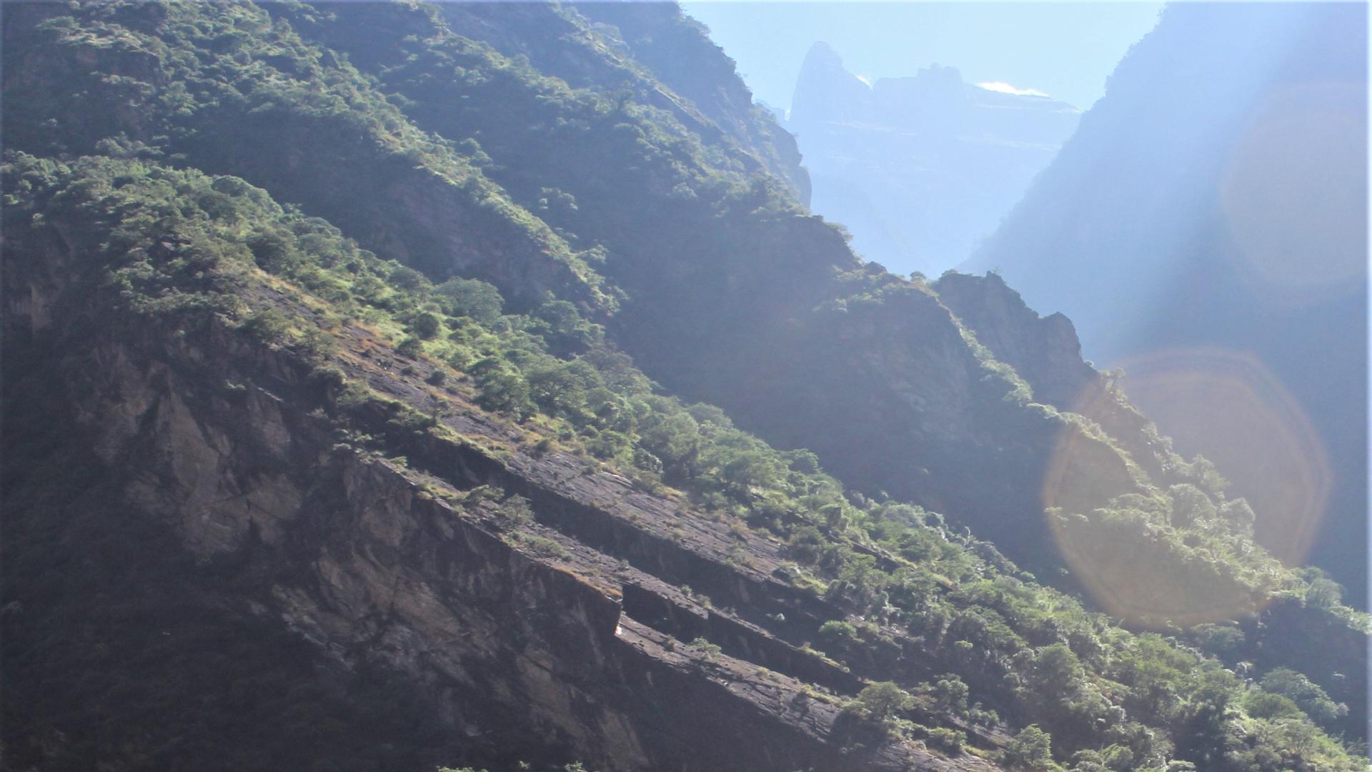 |在混乱中，无法求全