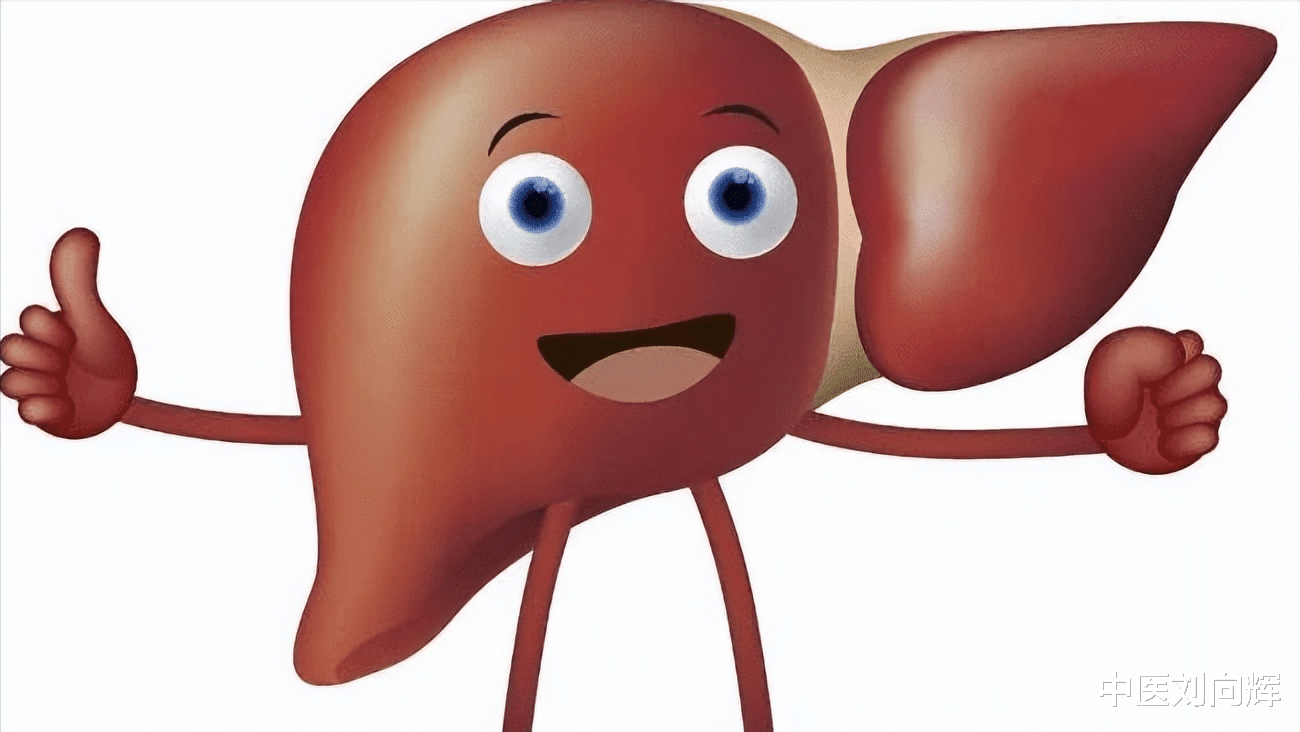 脾胃虚寒|身体出现这5种情况，说明“肝堵了”，教你4个中成药，疏通肝经