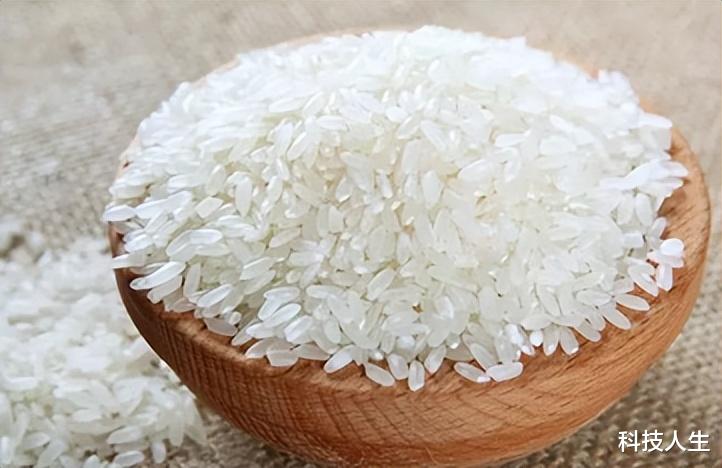 家里大米老生虫?原来是忽略了“这个细节”,看完分享给身边人