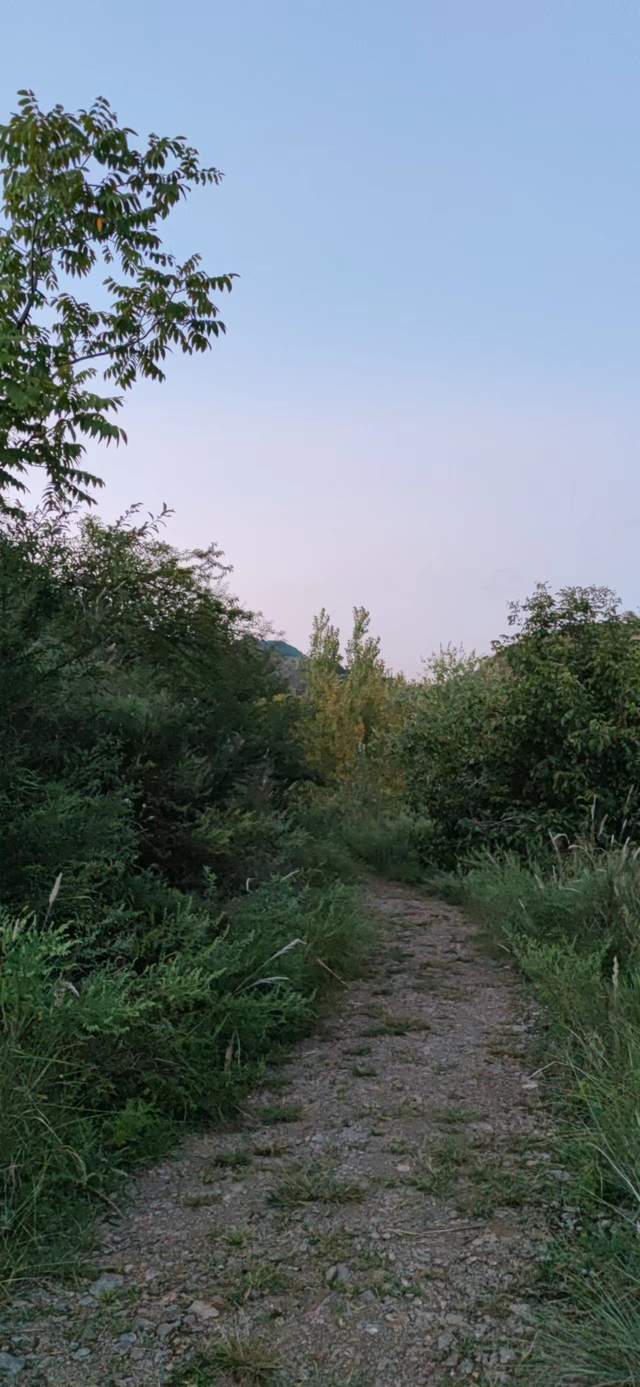 昭通|重走来时的路！云南昭通乐居镇周家口子村散步记