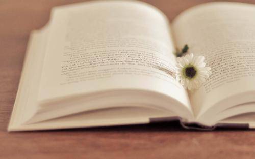 中考|孩子成绩不上不下，是去上普高还是职校呢？