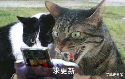 美团|美团优选把焕新玩明白了