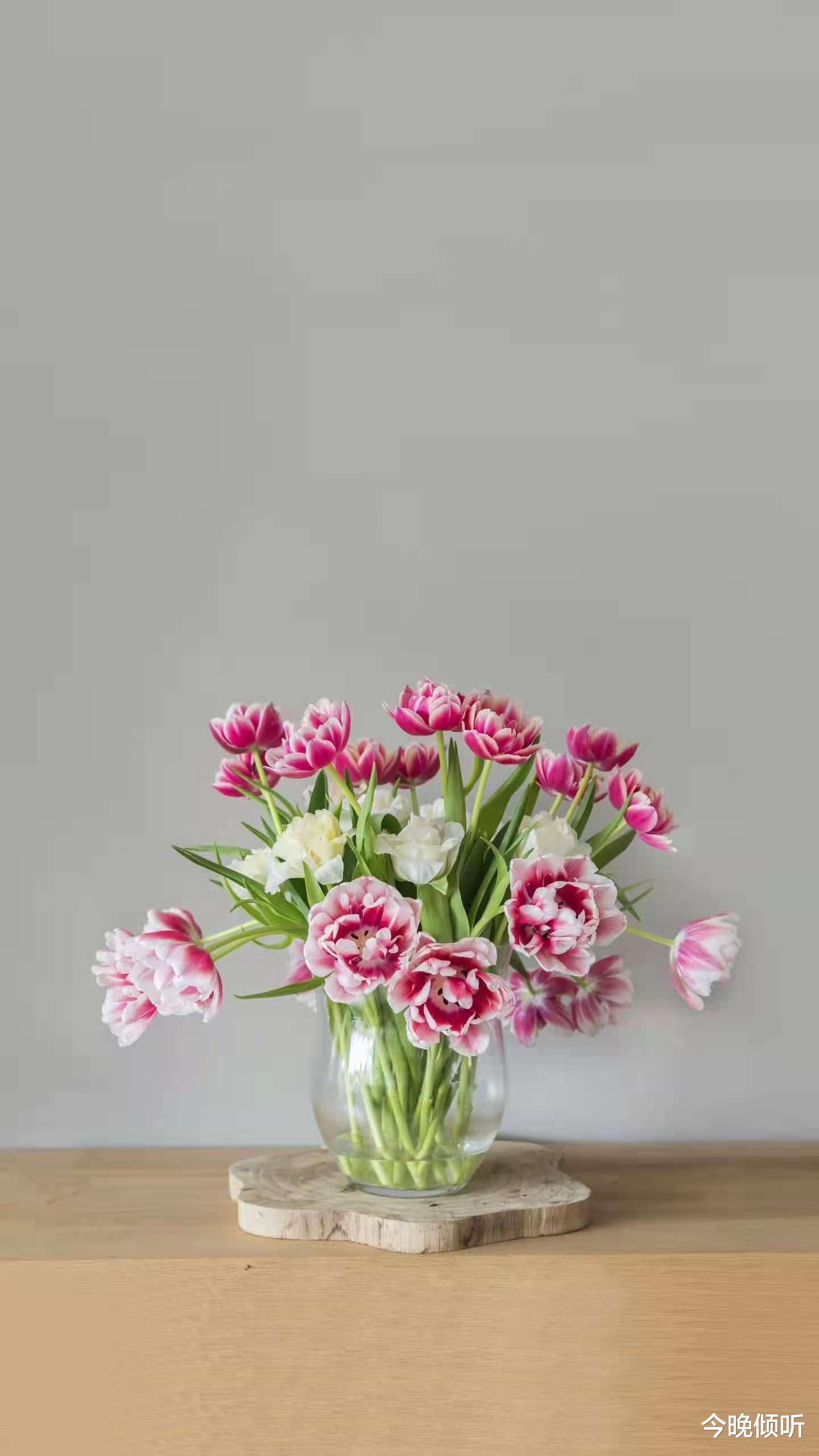 剩女|27岁了是留大城市还是回小城市呢？