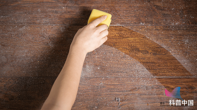 天天打扫,为什么家里还是有灰尘?究竟从哪来的?