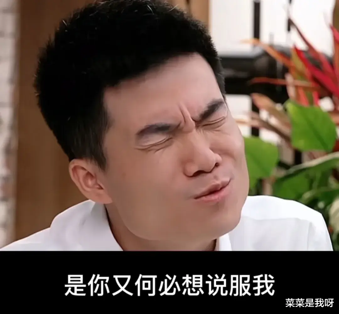 董宇辉|董宇辉还是落入了辛巴的圈套中,他的一句话引来了网友的质疑