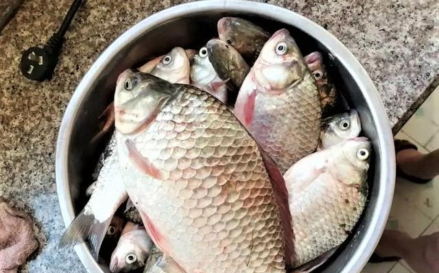 饵料|初春钓鱼要想渔获好，需明白4钓4不钓；这种天气出钓，新手也爆护