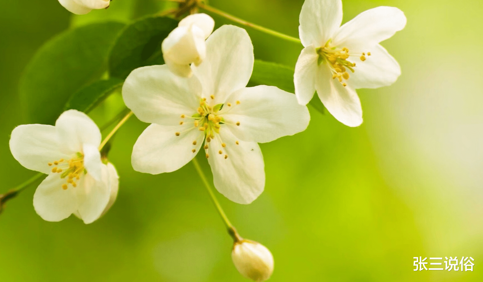 武汉|客厅不挂三画，和家又旺家：哪三种画不能挂在客厅里？