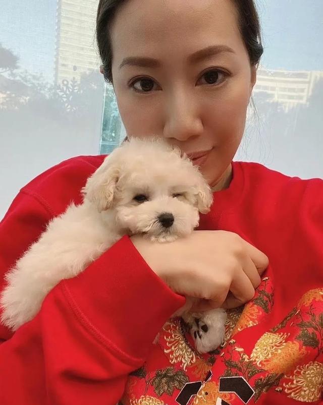 苗侨伟|7位港圈男神的妻子,苗侨伟妻子素颜自然,吕良伟夫妻像同龄人