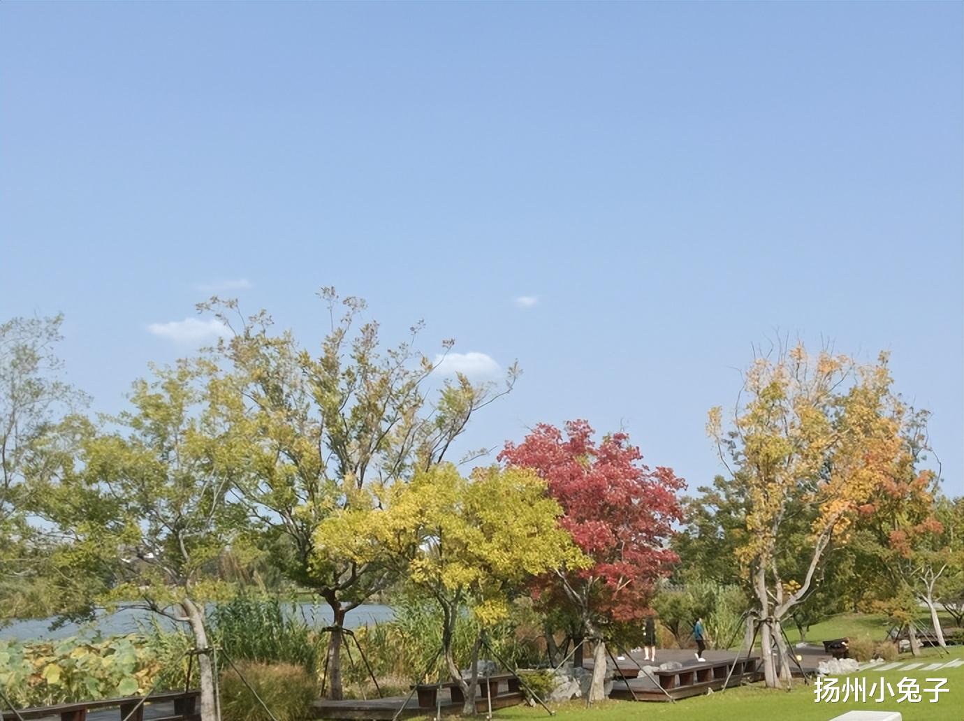 栖霞山|看秋色、品秋味、赏秋景,为秋天送行