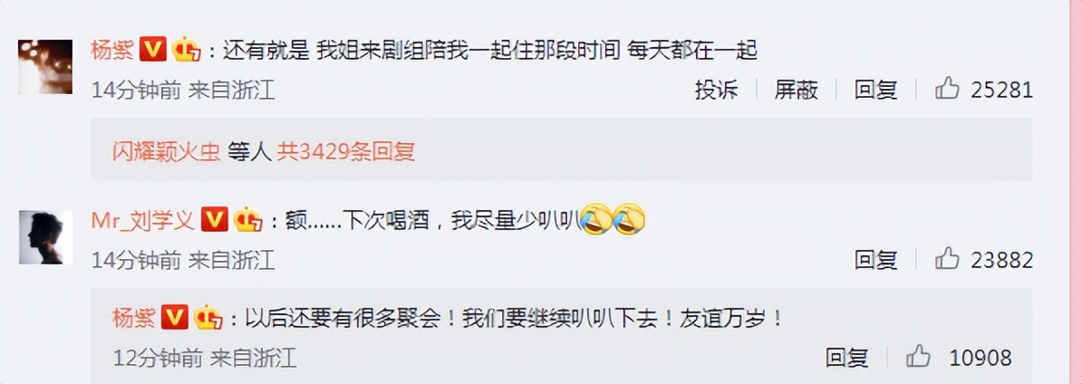 杨紫|女艺人好难!杨紫再回应和刘学义恋情,晒出聊天记录有理有据