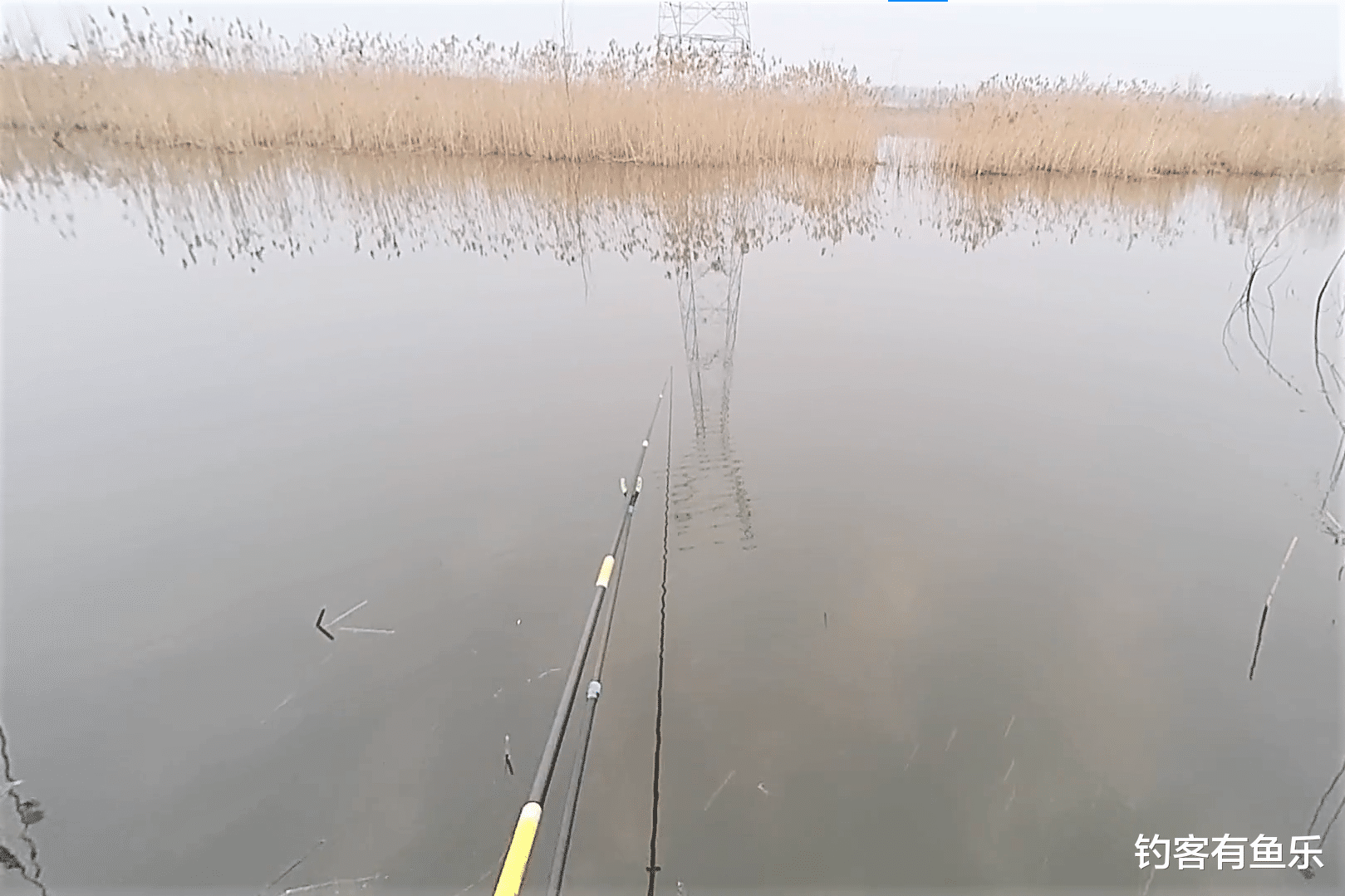 饵料|新手钓鱼不会调漂，还不如直接使用重铅沉底钓法垂钓