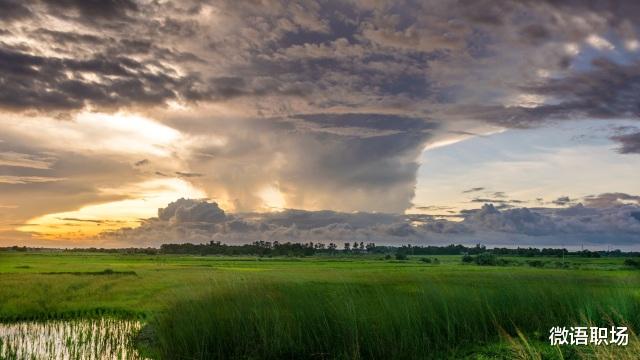 |工作6年,那些越早知道越好的职场经验(建议收藏)
