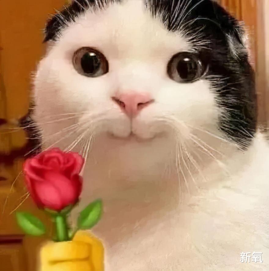 鸡蛋 一夜之间风靡全平台的“白开水妆容”,有多白?