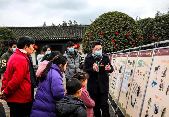 宜宾|九大活动连番推，江津文旅迎新获百万点赞