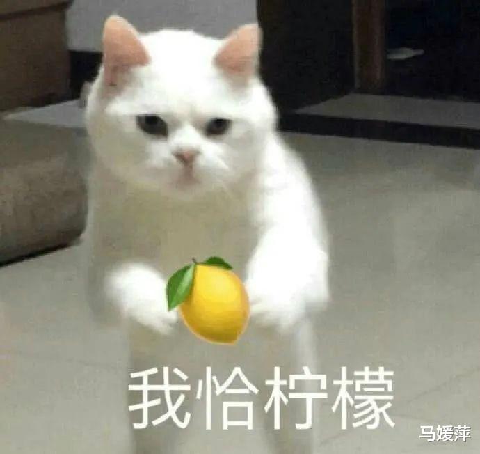 “P站女神”玩偶姐姐被网友爆料赚了上亿元,实现财务自由