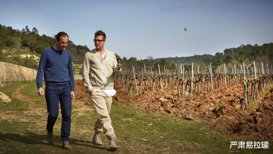 布拉德·皮特|为报复皮特，朱莉秘密把酒庄股份卖给竞争对手，昔日好莱坞眷侣再次对薄公堂！