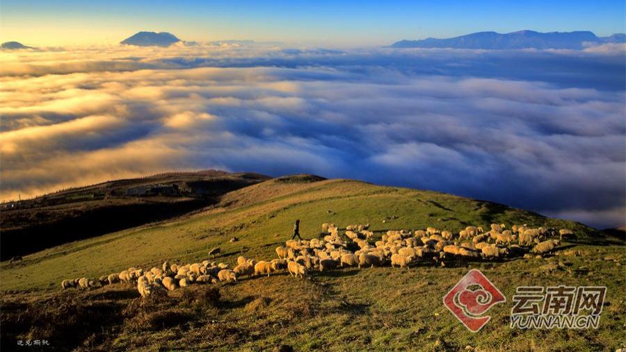 旅游市场|早安云南 | 云上马楠苗岭飞歌，芦笙雅韵花山狂欢