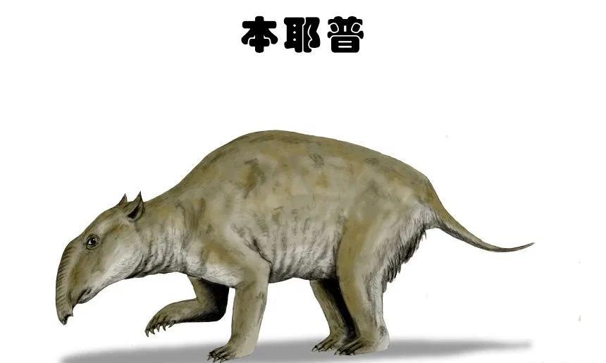虽被认为是虚构,但在某种意义上真实存在的9种生物