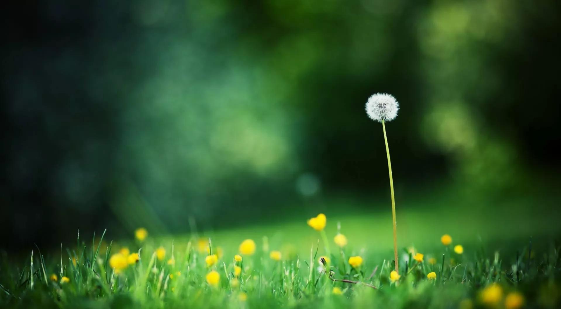 |职场妈妈别自责，试着这样平衡工作和生活