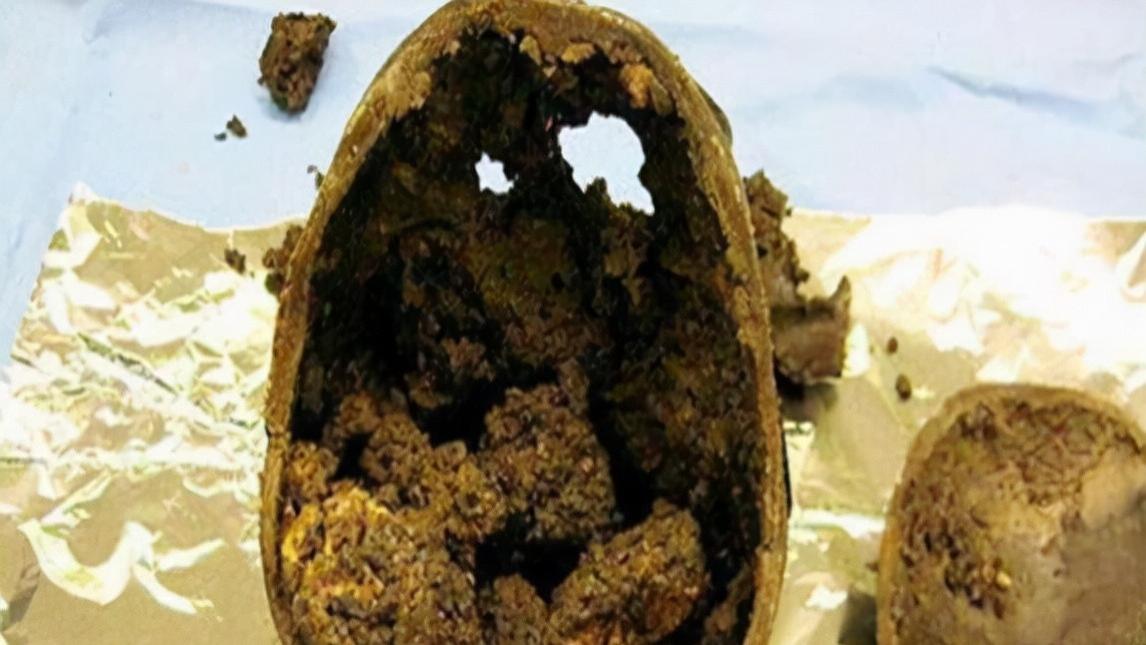 2600年前的大脑化石，似乎还有“呼吸”，科学家：大脑神秘无上限