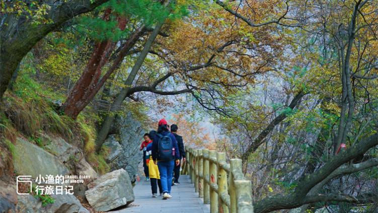 秦岭|它是西安秦岭最美的峪口之一，把山水玩到极致！深秋最后的斑斓季