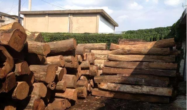 中国小伙拿老婆50万嫁妆,去非洲教黑人制作家具,1年赚了6000万