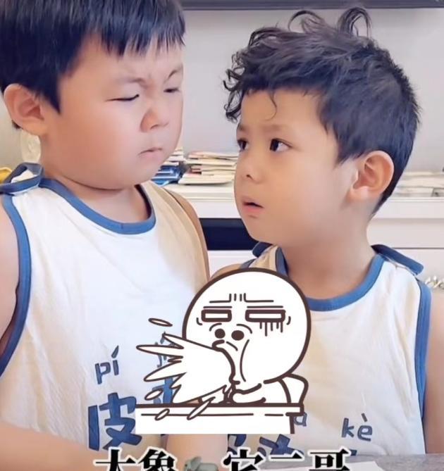 哥哥教弟弟背古诗,弟弟背成“铁锅炖大鹅”,哥哥差点气“吐血”