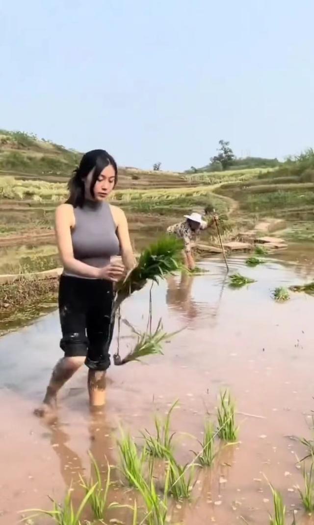 女子心事重重在田间插秧,一旁的母亲担心她,网友:女孩受了情伤