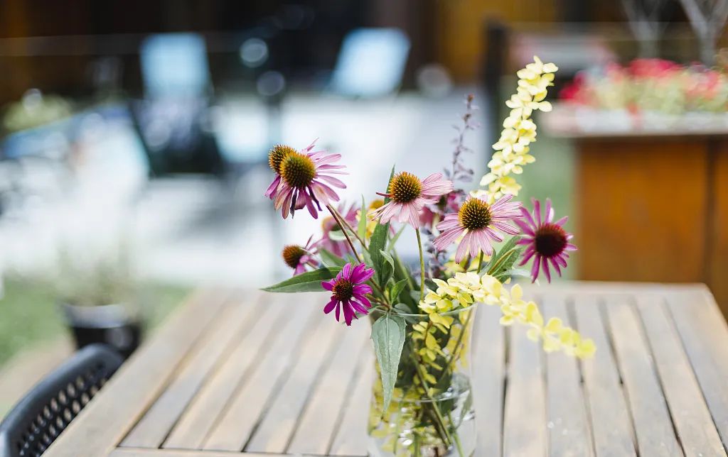 学习插花丨小白都会的鲜花插花色彩配置原则!