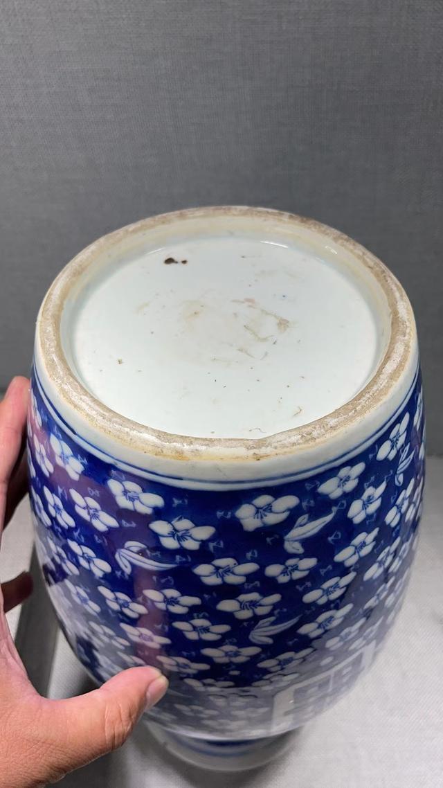 光绪|傲雪凌霜——清代各式冰梅瓷器赏析