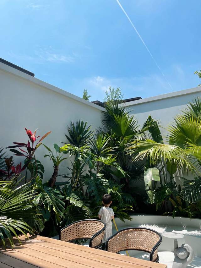 50㎡小院,亲手打造热带风花园,宅在家也像在度假