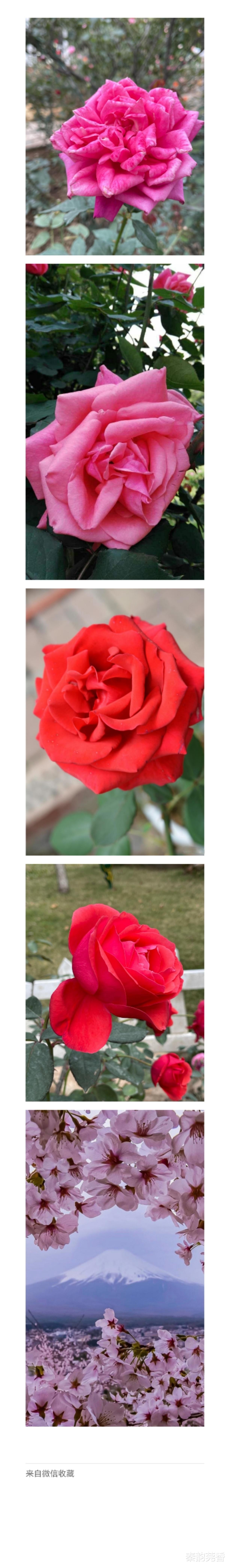 微信|微信右上角的+号,还隐藏着4个你不知道的功能, 不会用可惜了!