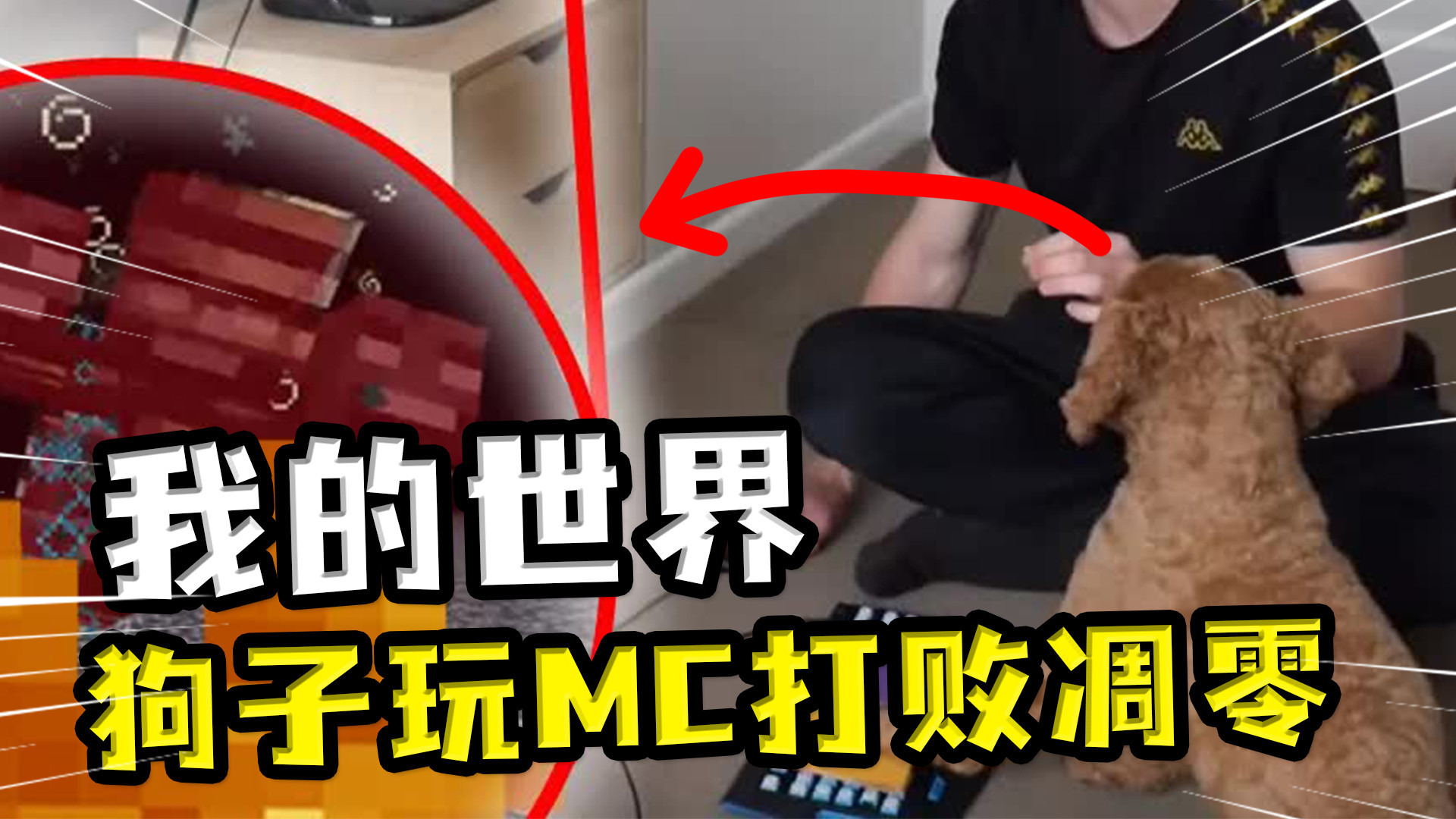 我的世界:连狗都会玩mc?狗子喜欢打游戏,小伙直接助它击败凋零