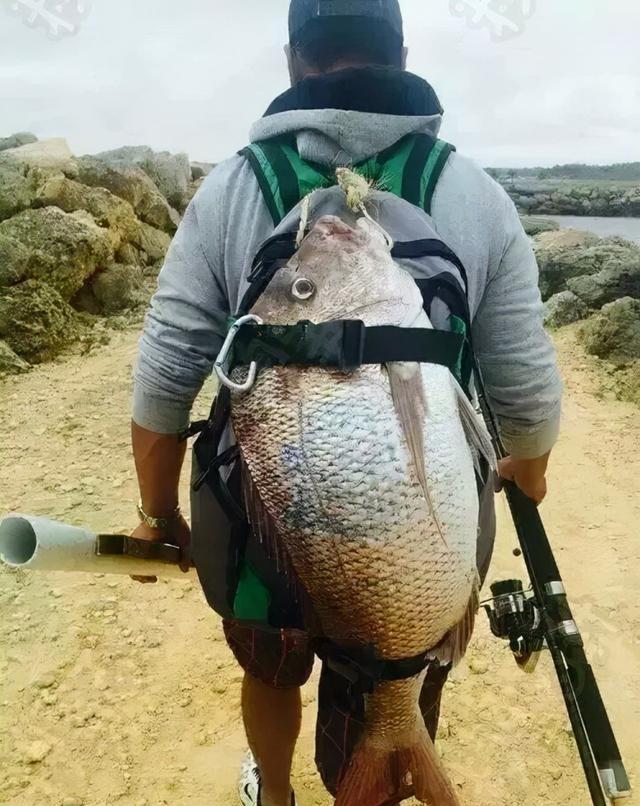 |邓刚的成功，归结于他的好运气？