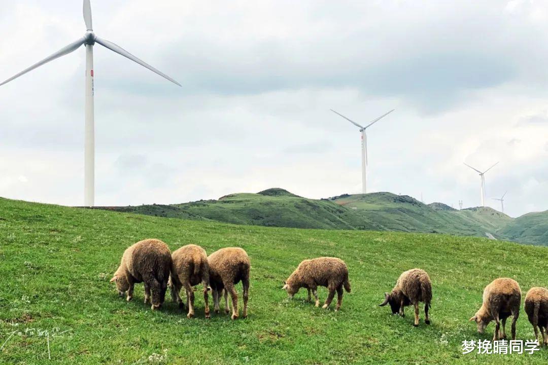 古镇|夏天去哪避暑?七八月还要穿外套的这五个地方,凉快又好玩