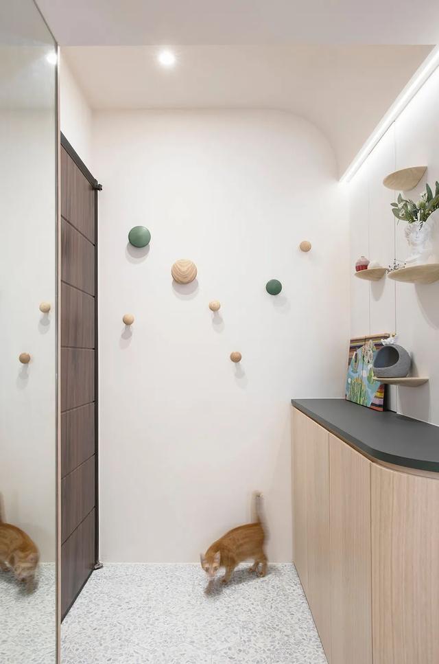 35岁女主晒86㎡独居小家,与猫为伴,生活治愈又温馨,令人羡慕