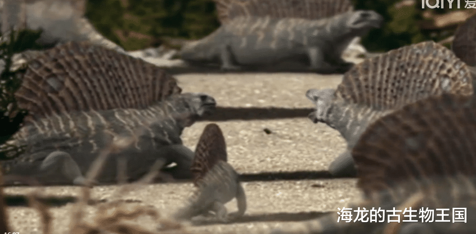 长棘龙展现高效猎杀本领!但同类竞争激烈!