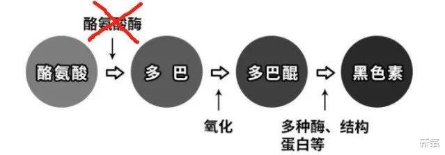 黑色素 性感马儿变甜美马儿，我们到底是咋变黑的？