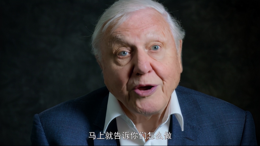 《大卫·爱登堡：地球上的一段生命旅程》：人类，请善待自然