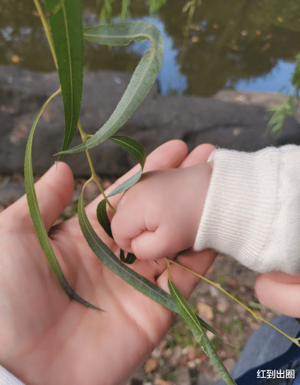 谢娜|退出跨年主持人阵容后,谢娜到东方台录春晚,和老公张杰甜蜜同框