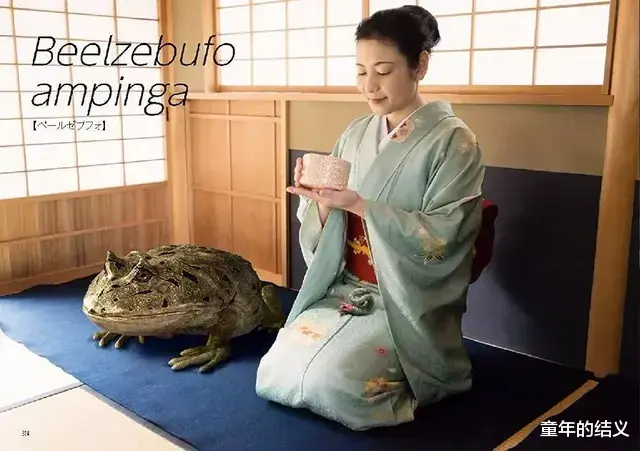 远古生物有多大?日本人PS了22张对比照,图9是翼龙和人类打篮球