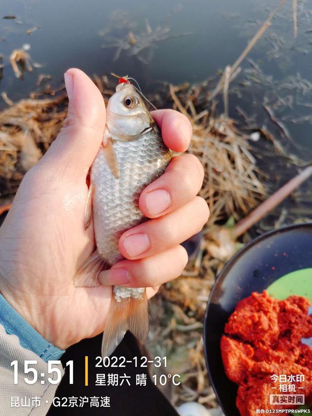 第一枪|收官之战:找对鱼情是关键!为打响第一枪准备着