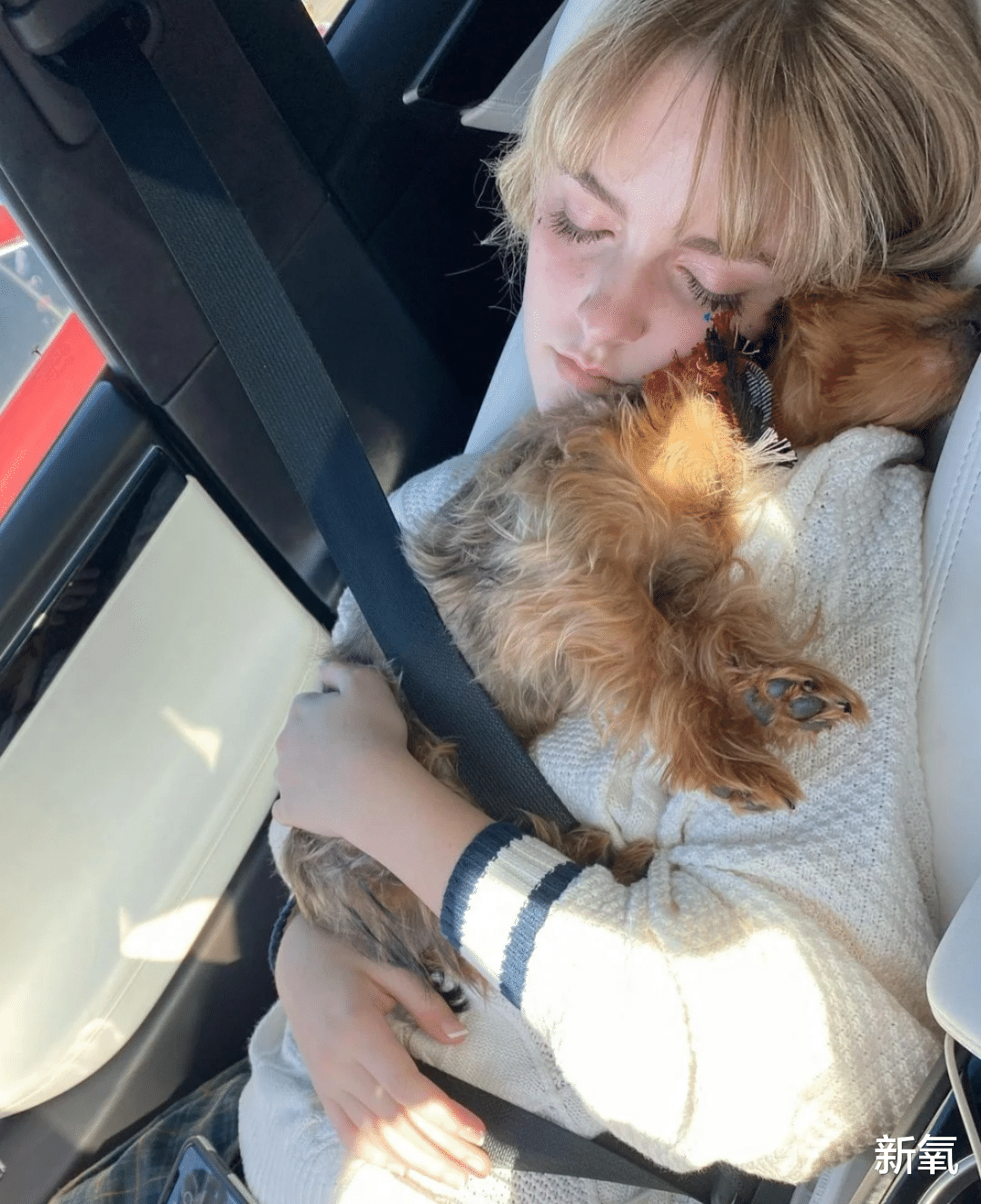 童星|小时候美成洋娃娃,如今更是惊艳美人模版的她有多优秀?