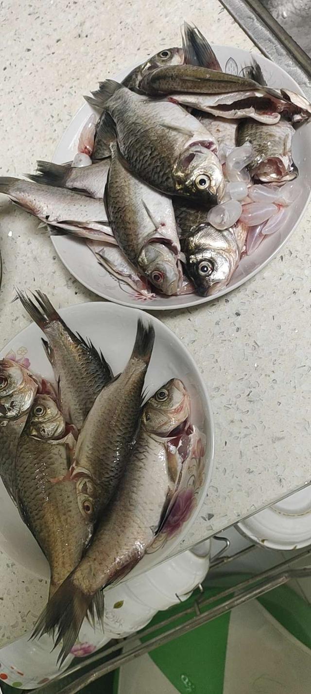 |冬季如何钓鱼,看这里学起来