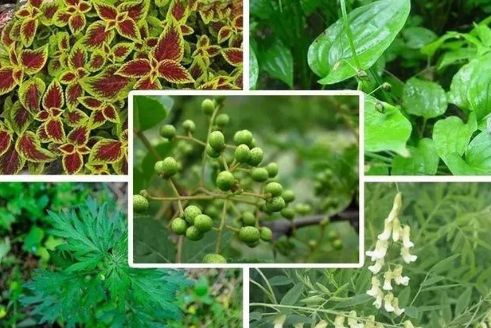 被子久睡螨虫“成堆”?教你这么做,不用洗不用晒,干净又杀菌