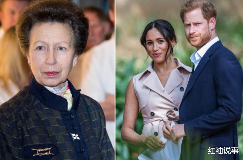 安妮公主|安妮公主才是预言家，一眼看穿梅根小伎俩，曾极力劝说哈里退婚