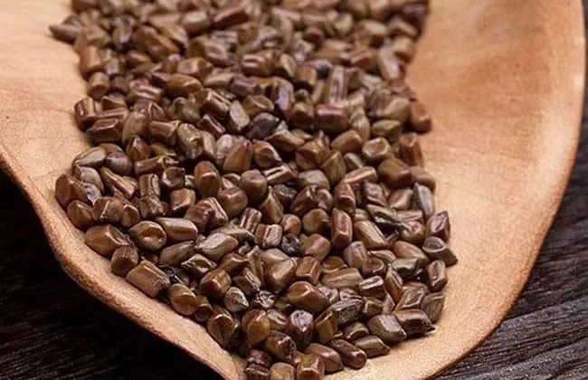 饮食|出现这些症状别轻心，很有可能是动脉硬化找上门了！